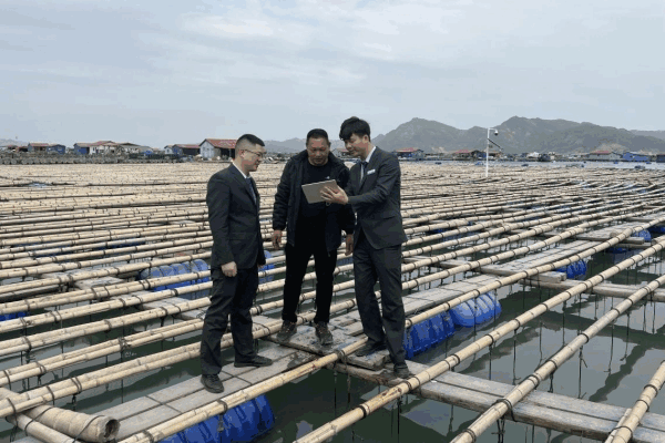 农行宁德分行：金融春雨润闽东 绘就春耕新图景(图3)