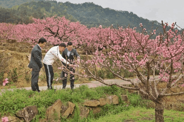 农行宁德分行：金融春雨润闽东 绘就春耕新图景(图4)